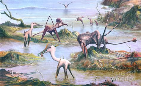 Pterosaurs Eating Photograph By Mark P Wittonscience Photo Library