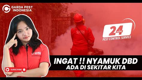 Jasa Fogging Nyamuk DBD Untuk Perkantoran 0812 8009 2221 Garda Pest