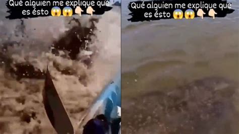 Video filmaron a una extraña criatura en el río Amazonas Mejor Informado