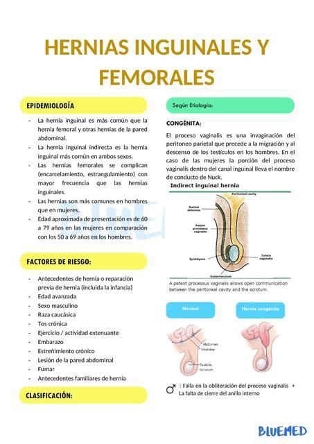 Hernias Inguinales Y Femorales Bluemed Bluemed Udocz