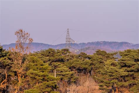 Electrical Tower In The Woods Stock Image Image Of Electricity