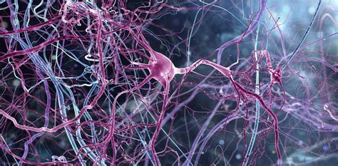 How we identified brain patterns of consciousness