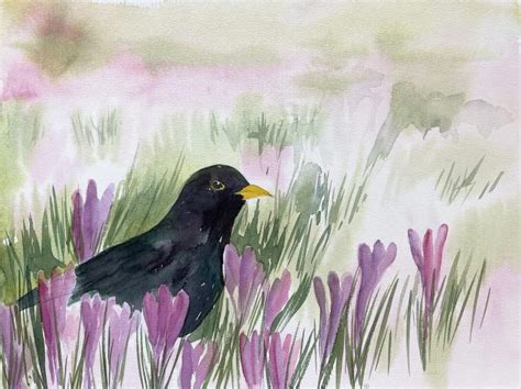 Amsel Illustration Aquarell Malen Am Meer