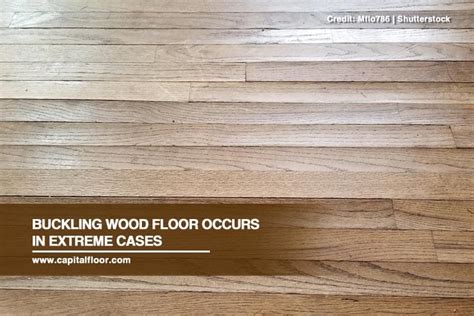 Engineered Hardwood Floor Buckling Flooring Blog