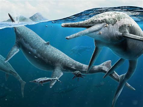 Probable ichthyosaur birthing grounds revealed in Nevada with the help ...