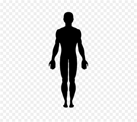 Silueta Del Hombre Ejemplo De La Silueta Del Cuerpo Masculino Images