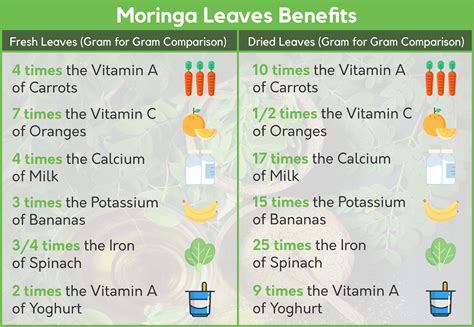 Benefits of Moringa | Origin of Moringa SA | Origin Organics