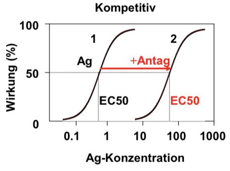 Pharmakodynamik Ant Agonisten Karteikarten Quizlet