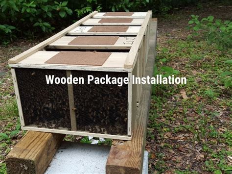 The Best Way To Install Package Honey Bees Mann Lake Bee And Ag Supply