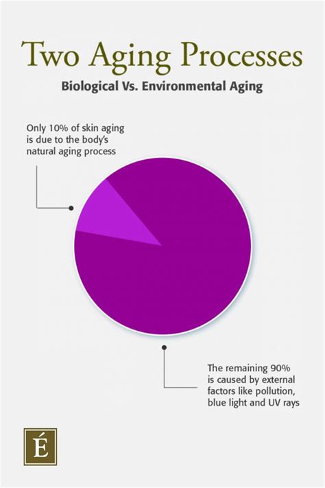 Ultimate Guide To Aging Skin Artofit