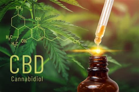 Cbd Everything You Need To Know About Cannabidiol Cbdmania Eu