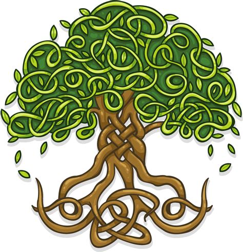 Download Transparent Celtic Tree Of Life Png Celtic Tree Of Life