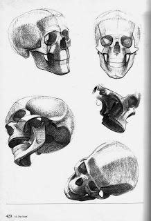 Gottfried Bammes Face Drawing, Face Art, Human Anatomy For Artists ...