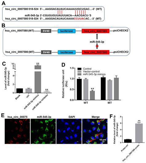 Downregulation Of Hsa Circ 0007580 Inhibits Non Small Cell Lung Cancer