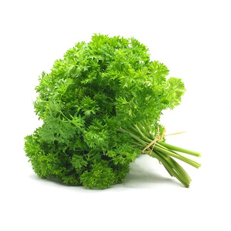 Curly Parsley – Dandrea