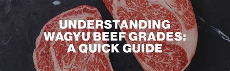 Understanding Wagyu Beef Grades: A Quick Guide by Premier Food Choice