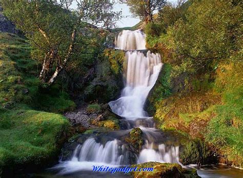 🔥 [50+] 3D Waterfall Wallpapers | WallpaperSafari