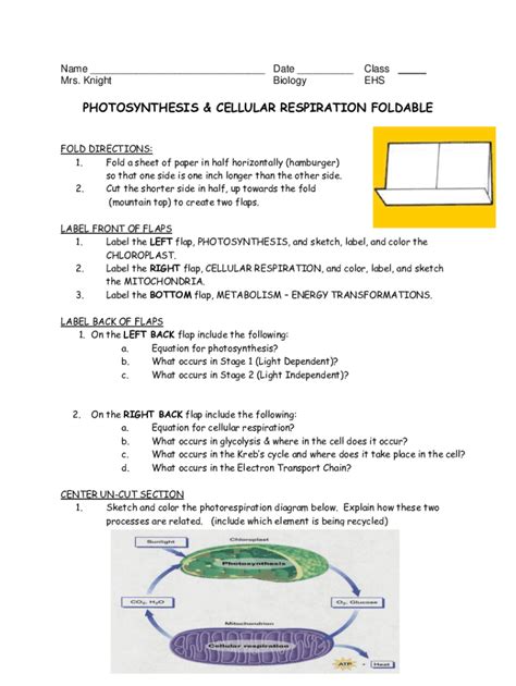 Fillable Online Photosynthesis And Cellular Respiration Foldable Fold Directions Fax Email Print