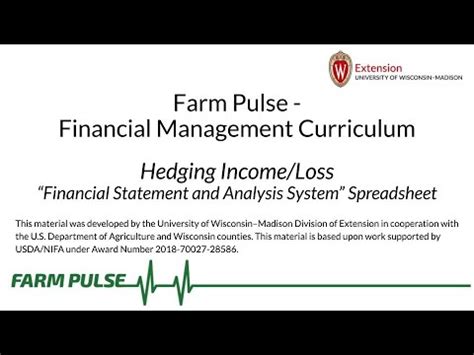 Financial Statement And Analysis System Hedging Income Loss YouTube