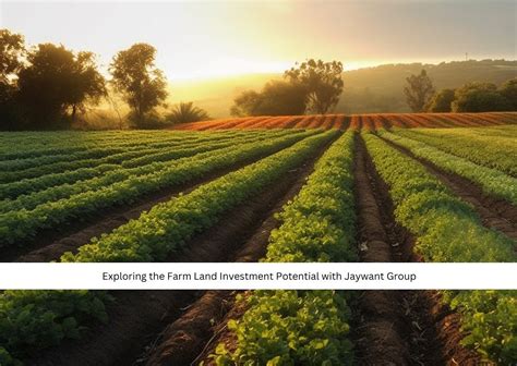 Exploring The Farm Land Investment Potential With Jaywant Group