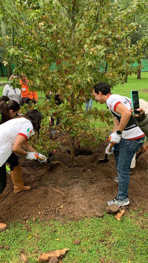 Bosque De Chapultepec On Twitter As Se Vivi La Jornada De