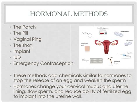 Ppt Contraception Powerpoint Presentation Free Download Id 2075058