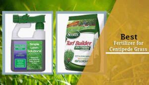 Top Best Fertilizer For Centipede Grass Reviews In