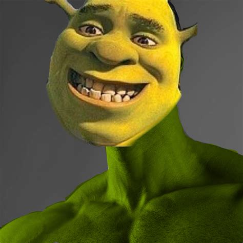 Shrek gigachad é qui | Halloween face makeup, Face makeup, Halloween face