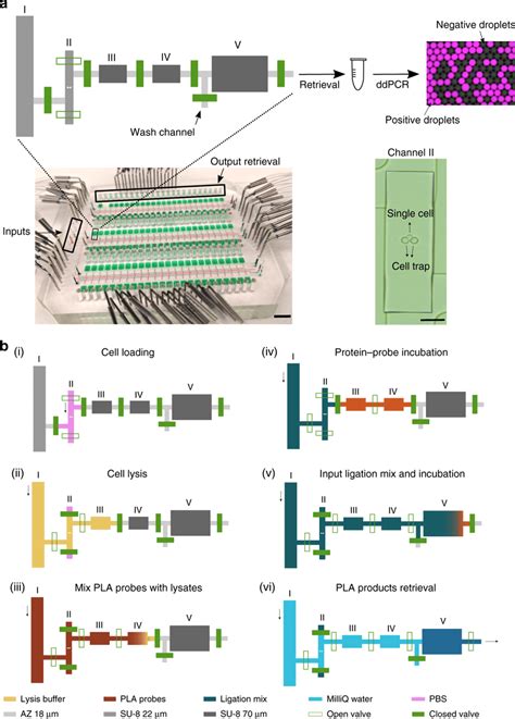 Integrated Microfluidic Device For Performing Ultrasensitive