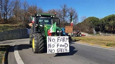 La Rivolta Dei Trattori Perch Gli Agricoltori Protestano Positanonews