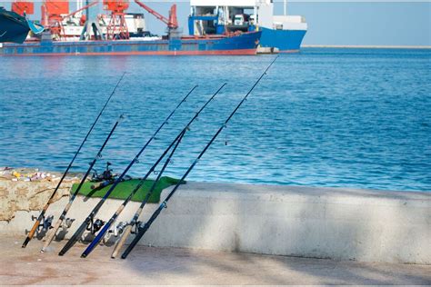 Pesca De Praia Qual Vara Molinete E Chicote Usar E Tipos De Peixes