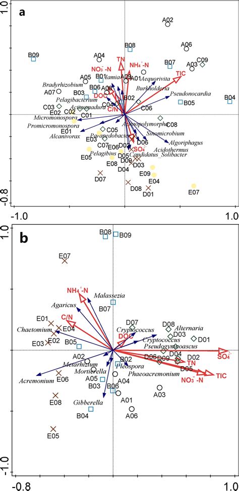 Rda Biplots A Relationships Between Bacterial Community Compositions Download Scientific