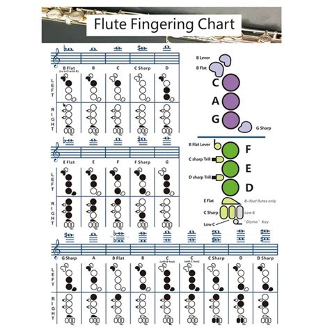 Fl T Akor Grafik E Itim Akor Poster Parmak Yerle Tirme Referans Poster