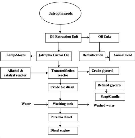 Process Flow Chart Of Biodiesel Production Method Download Scientific Diagram