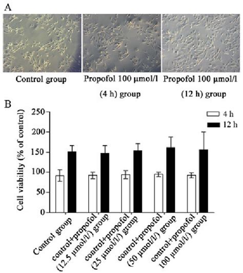 Figure From Propofol Postconditioning Protects H C Cells From