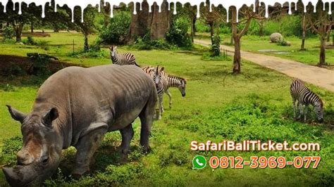 Harga Tiket Bali Safari Park Domestik Wni Demak