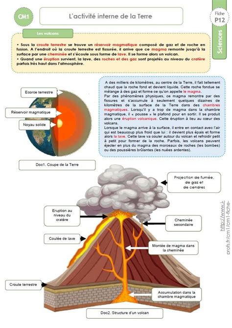 Exercices Sciences Cm A Imprimer Hot Sex Picture