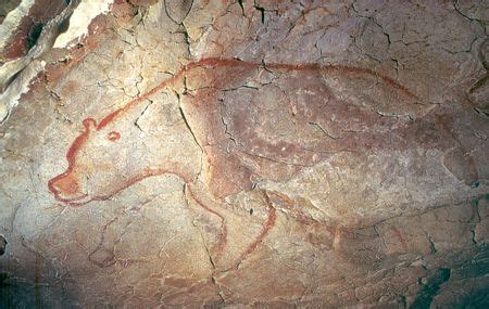 18 Cave bear ideas | cave bear, prehistory, prehistoric art