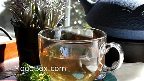 Lavender Mint Tea - MogoBox®