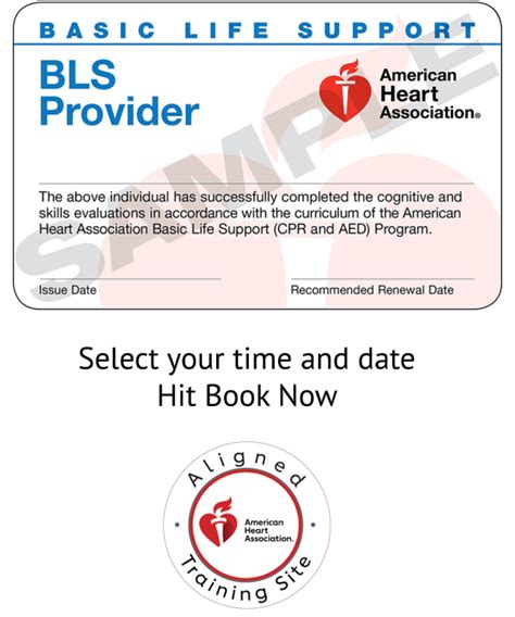 Cpr Certification Atlanta Best Aha Bls Cpr Classes Atlanta