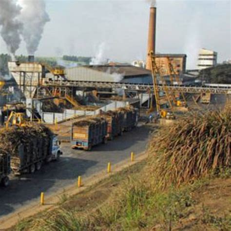 Maharashtra 166 Sugar Mills Make 100 Per Cent Sugarcane Payment