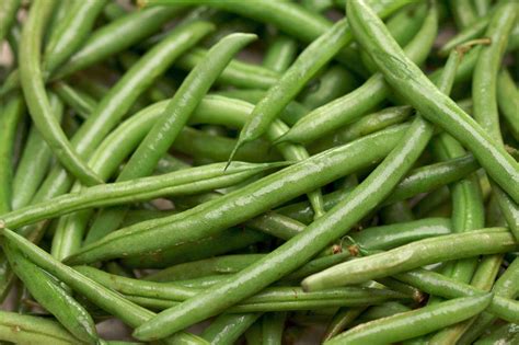 Download Fresh Green Beans Vegetables Wallpaper