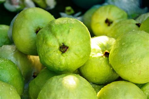 Benef Cios Da Goiaba Vermelha Veja O Porqu De Consumir A Fruta