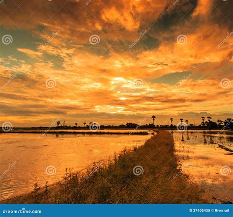 Farmland In The Sunset Stock Image Image Of Asia Male 37405435