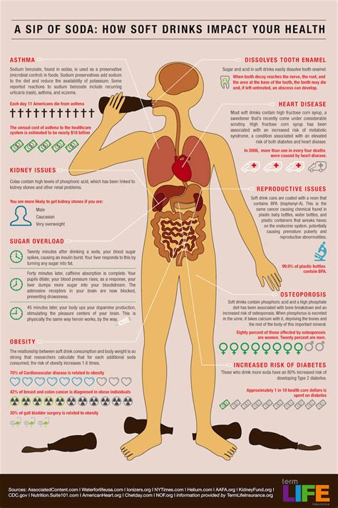 Wie Softdrinks Unserer Gesundheit Schaden