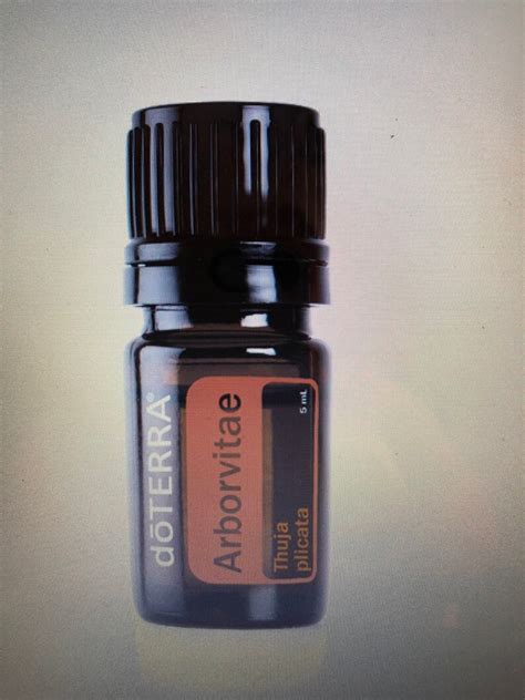 Doterra Arborvitae Essential Oil Etsy