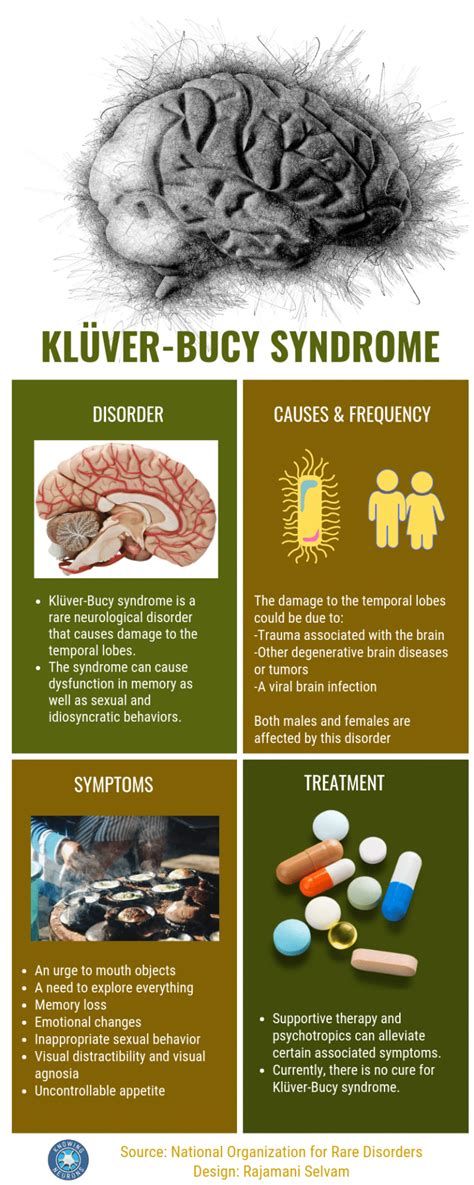 What Is Klüver Bucy Syndrome [infographic] Knowing Neurons