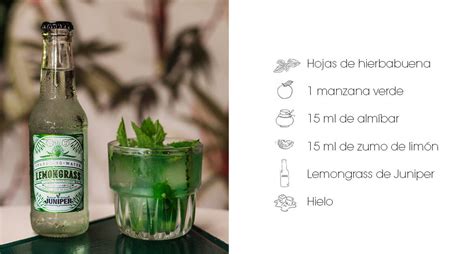 Arriba 53 Imagen Recetas De Cocteles Sin Alcohol Faciles De Preparar