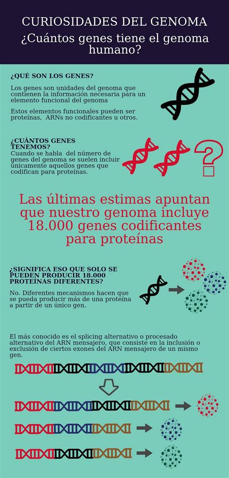 Infografía Genes Genotipia