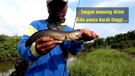 Mancing Di Spot Banjiran IKANNYA PADA KELAPARAN YouTube